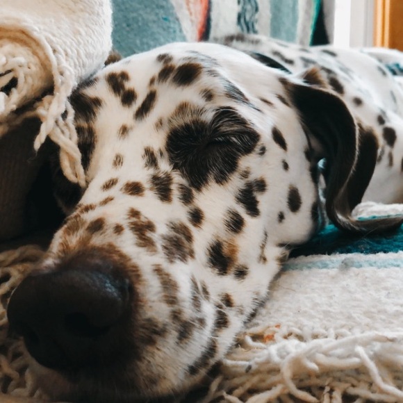 MEET your seller ♥️ - Picture 4 of 8